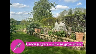 Green fingers – how to grow them [upl. by Melliw]