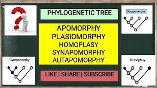 Apomorphy Plasiomorphy Homoplasy Synapomorphy Autapomorphy  Phylogenetic tree [upl. by Odlaniger]