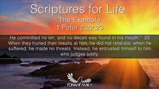 Scriptures for Life  The Example [upl. by Ames788]