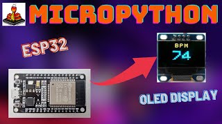 How To Use MicroPython OLED Display with the ESP32 [upl. by Delaryd]