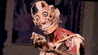 BODY WORLDS amp The Art of Plastination [upl. by Annette791]