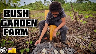 Plantation Work Clearing Land amp Planting Yams On Our TARO FARM On NIUE ISLAND [upl. by Nnylirak]