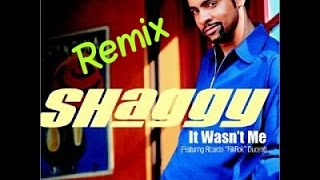 Shaggy It Wasnt Me Remix garage [upl. by Matthieu]