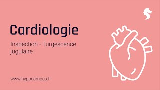 Turgescence jugulaire  Inspection de Cardiologie [upl. by Donoghue]