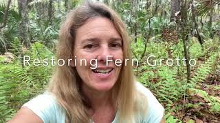 Restoring Fern Grotto by Removing Invasive Coral Ardisia [upl. by Brig]