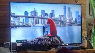 Opening to Clifford The Big Red Dog 2022 BluRay [upl. by Einahpet359]