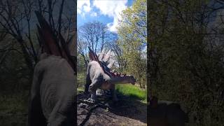 Tierpark Berlin  Dinos [upl. by Leamhsi966]