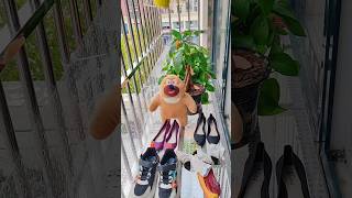 Balcony fiber seat😮shorts viralvideo video shortvideo [upl. by Nacnud]