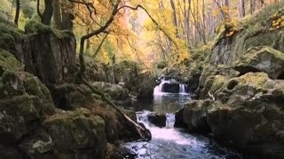 Comrie Croft Camping  Deils Cauldron  Comrie Perthshire Scotland October 2020  Cinematic [upl. by Elwee132]