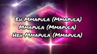 Busta 929  Mmapula Lyrics [upl. by Katzen]