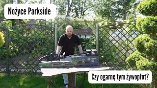 Nożyce Parkside  Czy ogarnę tym żywopłot [upl. by Zingale21]