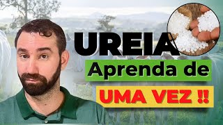 TUDO O QUE VOCÊ PRECISA saber sobre o uso da UREIA em dietas para ruminantes  Parte 1 [upl. by Syah]