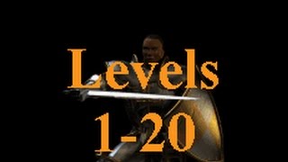 quotHow toquot Levels 120 on a Paladin Diablo 2 [upl. by Savinirs]