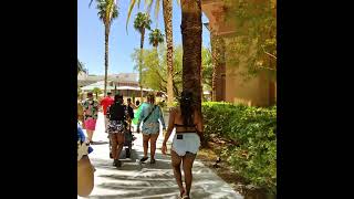 Mandalay Bay Beach stroll Wayfarer RayBan edition Las Vegas Strip Nevada 2023 thekingofbakersfield [upl. by Jereme851]