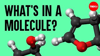 The science of macaroni salad Whats in a molecule  Josh Kurz [upl. by Aciretehs]