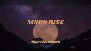 MOON RISE SLOWED AND REVERB SONG [upl. by Skier]