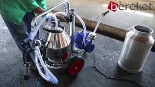 Good Quality Single Bucket Trolley Milking MachineKrishna Industries [upl. by Eleanor]