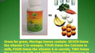 How to become a Moringa Distributor [upl. by Amado]