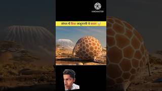 जंगल में दिया जादूगरनी ने शराब new viral facts video [upl. by Adnorahc]