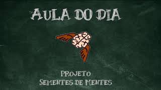 Virou história o caipira as fontes históricas e o historiador investigador  Aula 08 [upl. by Dymphia]