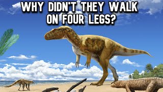 Why Were All Theropods Bipedal [upl. by Tisdale]