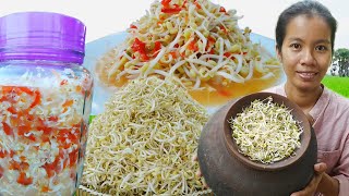 បណ្តុះសណ្តែកធ្វើជ្រក់ Making Been Sprouts and Pickled [upl. by Abra]