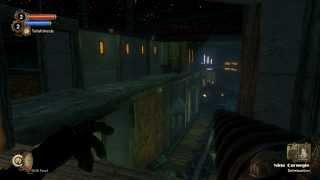 Nina Carnegie  Deterioration BioShock 2 Audio Diary HD [upl. by Eirol]