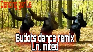 BUDOTS DANCE REMIX UNLIMITED  DANCING GORILLA [upl. by Eenat]