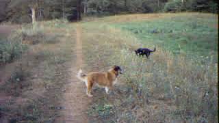 Putnamville Reservoir Danvers MA 08 27 2005 1 [upl. by Asik]