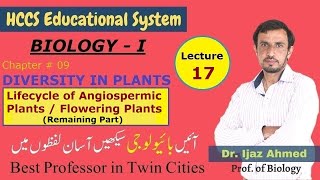 Lifecycle of an Angiospermic Plants Remaining  Ch8  1ST YEAR  Dr IJAZ  LEC17 [upl. by Aliahkim]