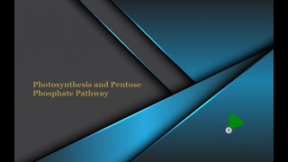 4a Photosynthesis and Pentose Phosphate Pathway [upl. by Ecital]