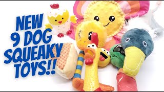 Dog Squeaky Toys 9 Different Squeaky Toy Sounds To CALL Your Dog [upl. by Sharla]