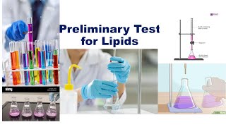 Preliminary Test for Lipids [upl. by Drice]