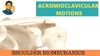 ACROMIOCLAVICULAR MOTIONS SHOULDER BIOMECHANICS [upl. by Enrobso]