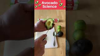 Avocado Science short [upl. by Claudy]