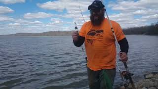 Brookville lake channel cat with weird bumps on it Brookville lake Indiana [upl. by Onahpets]