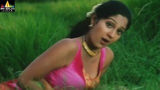 Ankitha Video Songs Back to Back  Telugu Songs Jukebox  Sri Balaji Video [upl. by Giovanna]