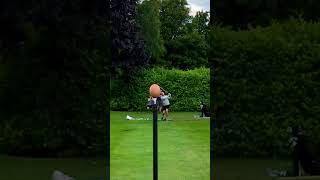 What are the chances of hitting an egg with a golf ball [upl. by Mccandless]