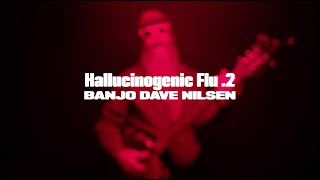 Hallucinogenic Flu 2  Banjo Dave Nilsen [upl. by Hanah]