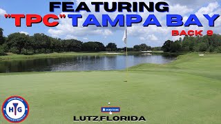 TPC Tampa Bay Back9 [upl. by Rehotsirhc]