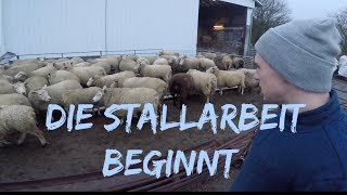 Die Stallarbeit beginnt  Update vom Umbau  DEICHVLOG 13 [upl. by Lednew]