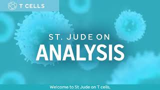 St Jude ON Analysis of T Cells [upl. by Tartaglia812]