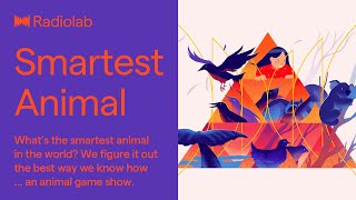 The Worlds Smartest Animal  Radiolab Podcast [upl. by Hairahs]