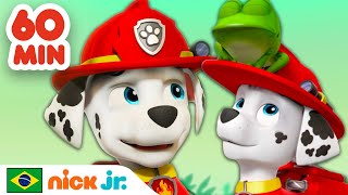 Patrulha Canina  1 hora dos melhores resgates do Marshall  Nick Jr em Português [upl. by Aretta]