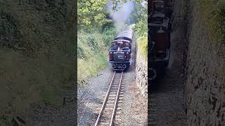 Ffestiniog Railway Bygones weekend Rhiw Plas Cutting [upl. by Earahs387]