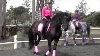 Coastal Dressage Lateral Work [upl. by Nedarb]