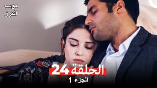 موسم الكرز الحلقة 24 الجزء 1 مدبلج بالعربية [upl. by Enneillij]