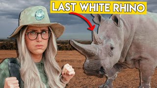 The Last White Rhinos on Earth  What Will It Take to Save Them [upl. by Helaina]