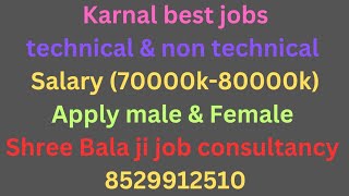 karnal jobs ll Technical jobs and Non Technical jobs Salary 70000k 80000k ll Apply Male or female [upl. by Hilleary]