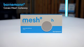 Unboxing  Cavea Mesh Wirepas Gateway Indoor [upl. by Acsehcnarf]